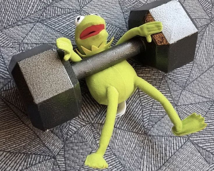 운동을해보자